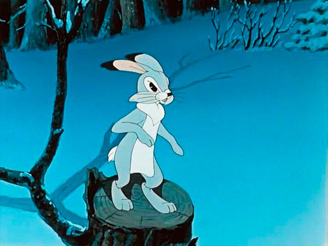 следующий зайчик. смешные кролики. следующий зайчик. заяц с подарком. следующий зайчик.