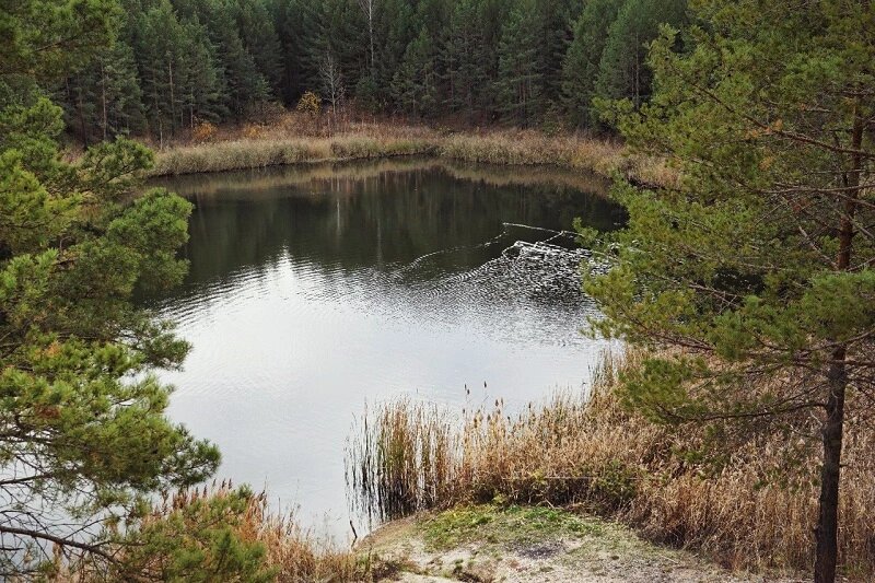 «Малая синька». Искусственное озеро в Сухоложье