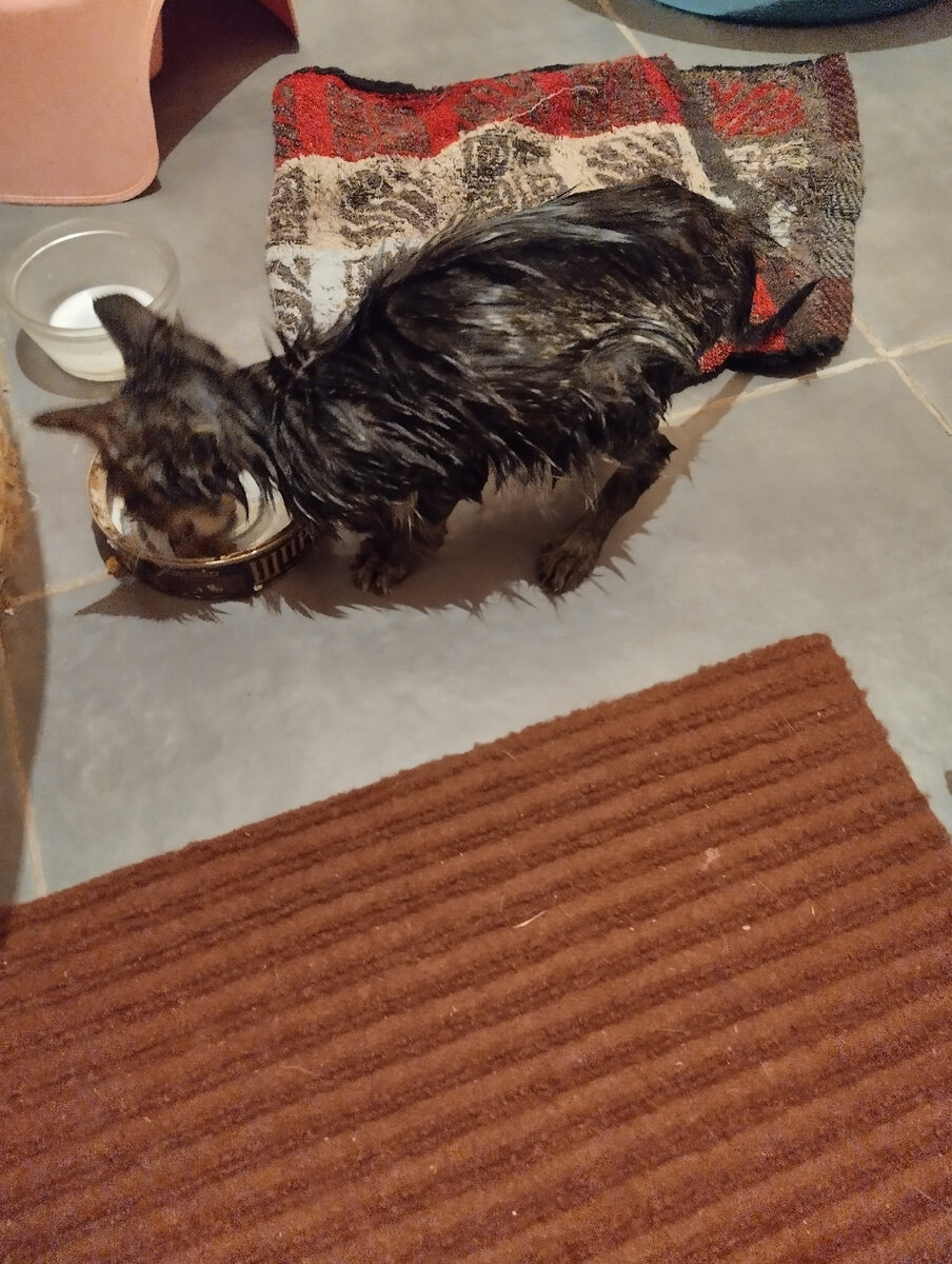 Таким он был в первый день