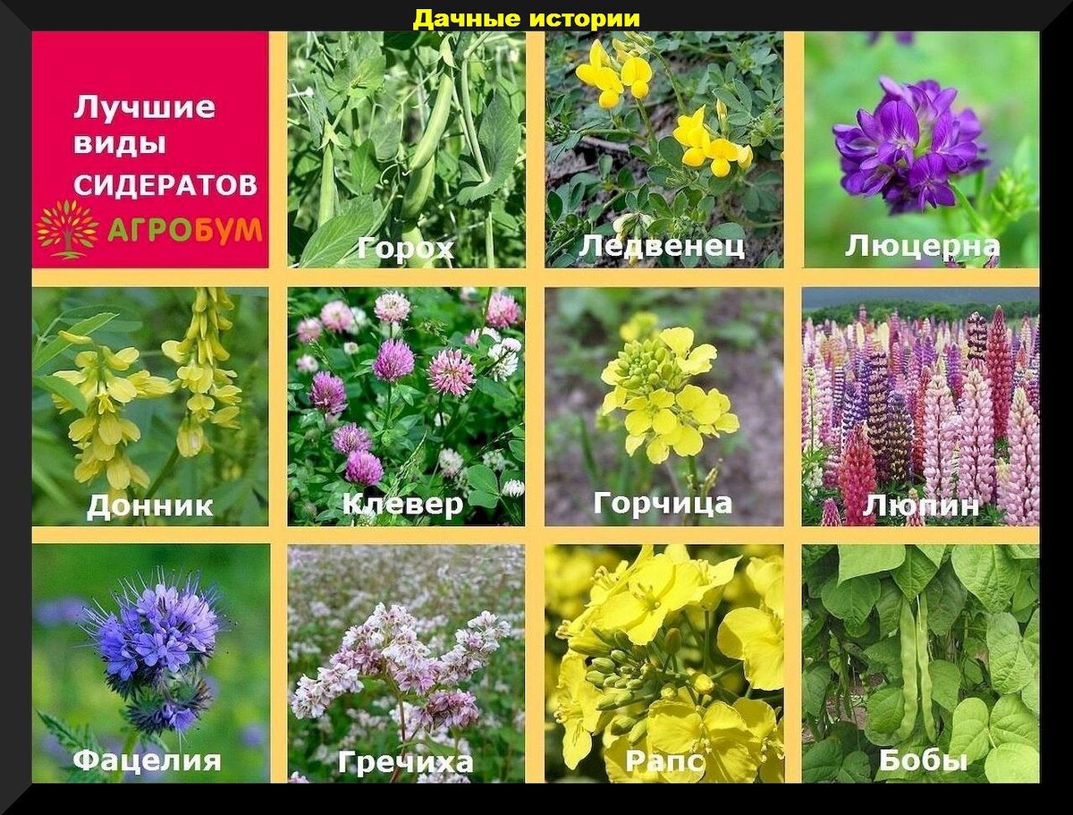https://vk.com/photo-159774511_457261755