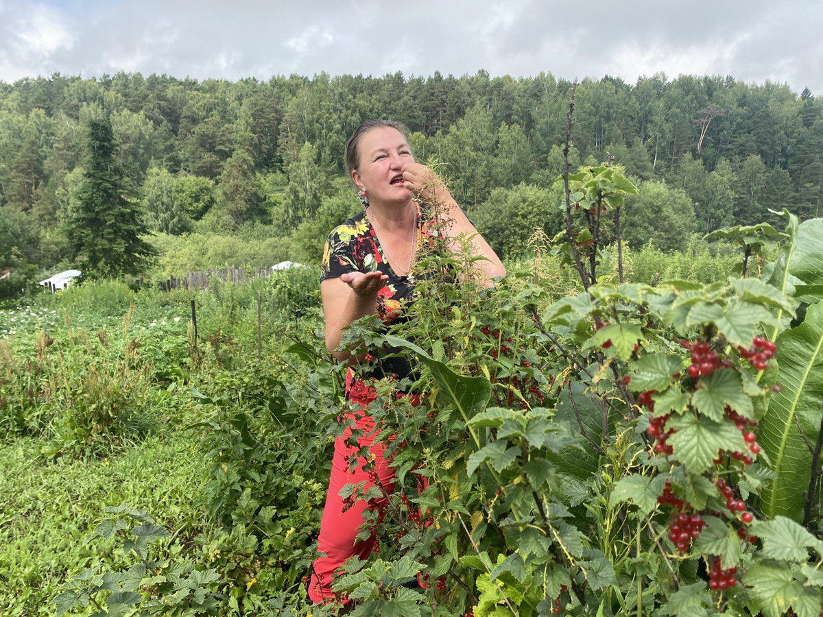 Елена Велеба - к.п.н., семейный, детский психолог, обучающий тренер/коуч. Онлайн/офлайн программы гармонизации (для взрослых) и безопасного взросления (для детей).