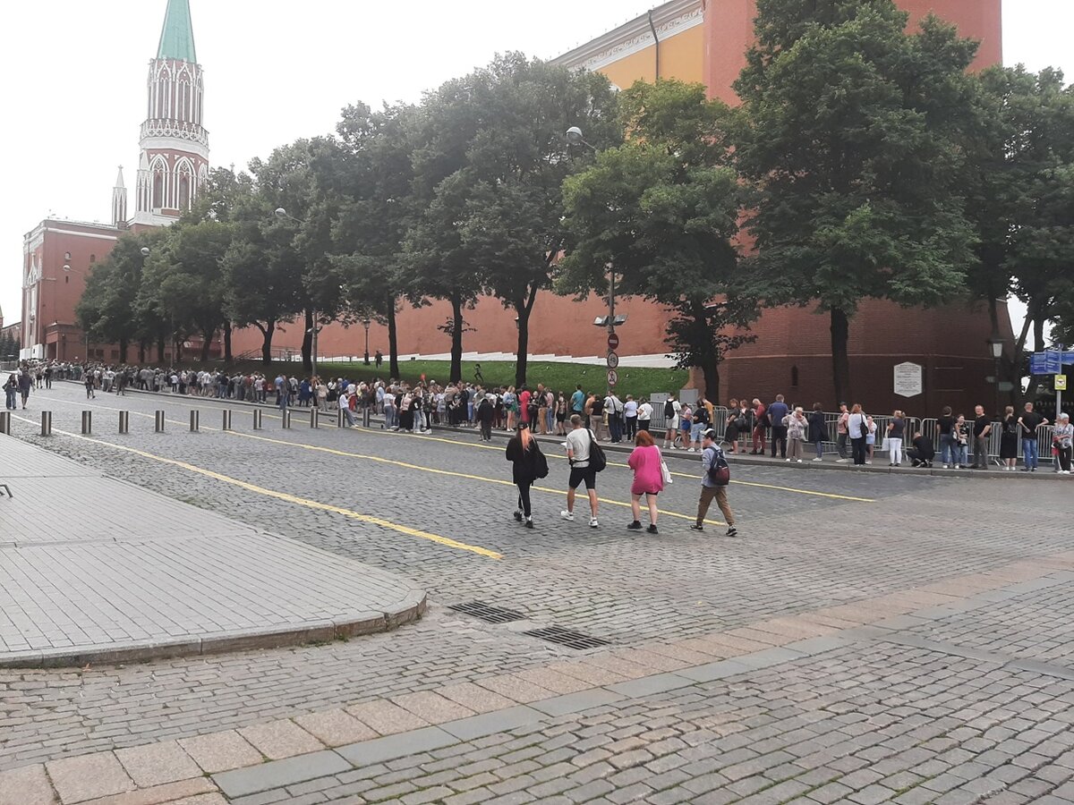 Фото автора. 09.08.23 10:00
