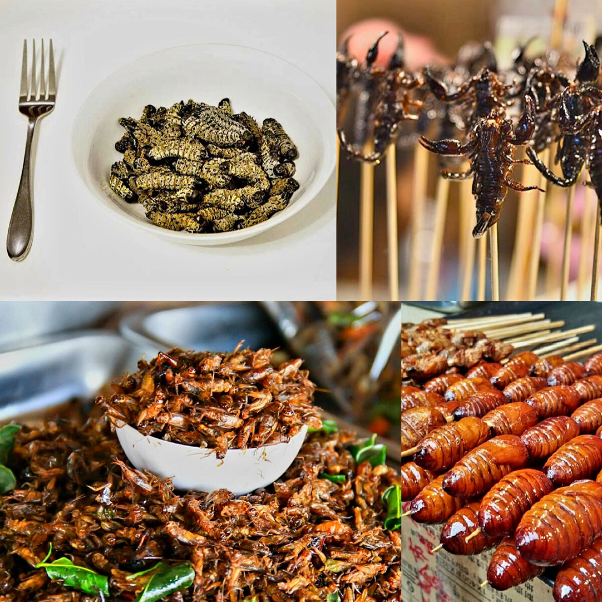 Попробовали бы такие блюда?