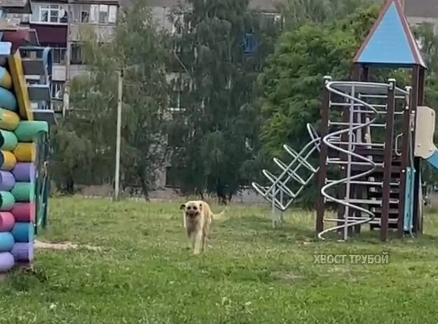 -2-2