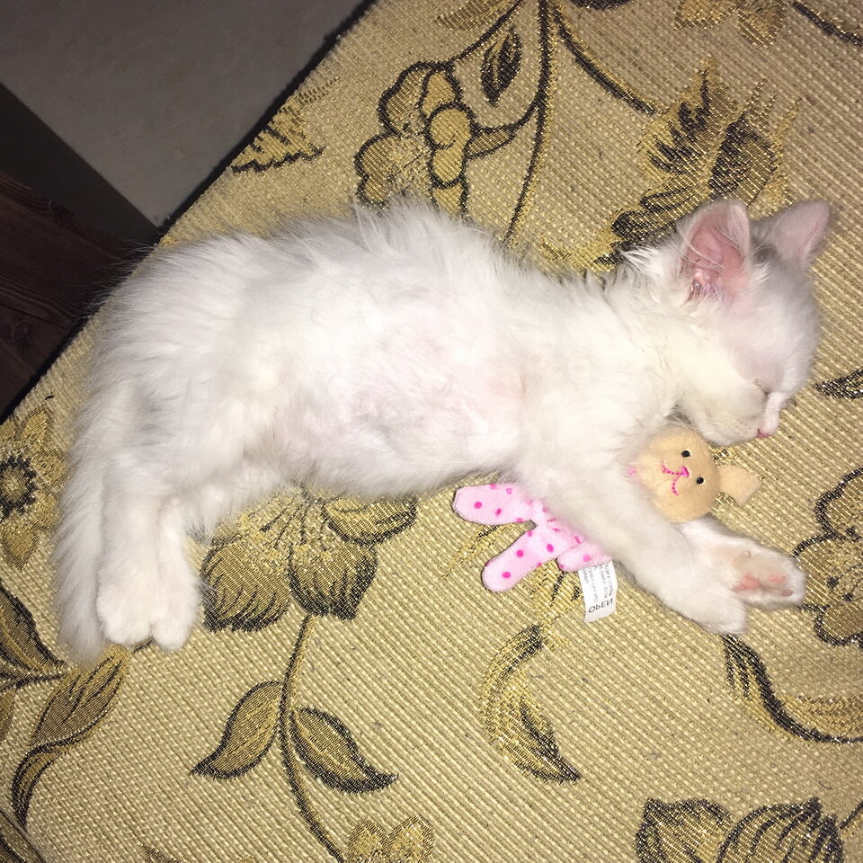 Ривен поправляется и всегда спит с любимой игрушкой