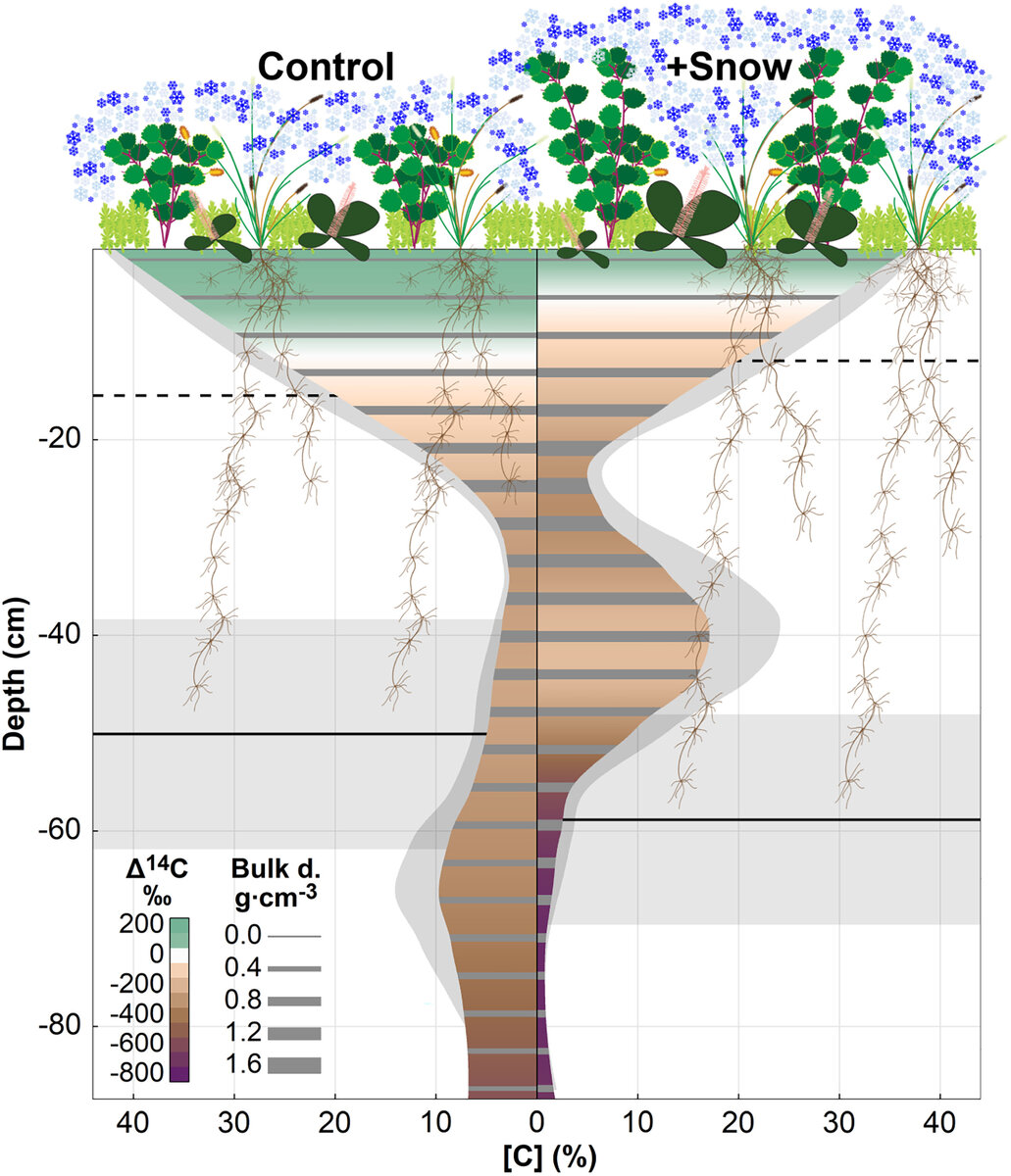   Shawn Pedron et al. / AGU Advances, 2023