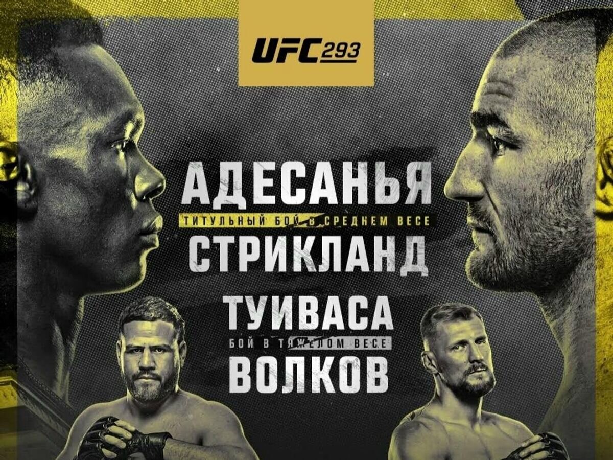    Постер UFC 293© UFC