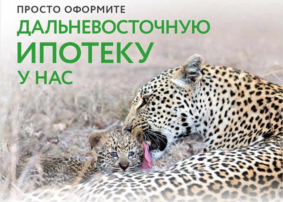 Дальневосточная ипотека условия 2024 в забайкальском крае. Дальневосточная ипотека. Дальневосточная ипотека Сбербанк. Дальневосточная ипотека города. Дальневосточная ипотека картинки