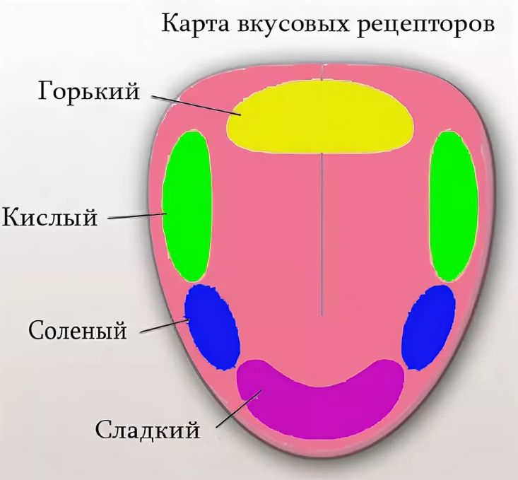 Язык карта организма