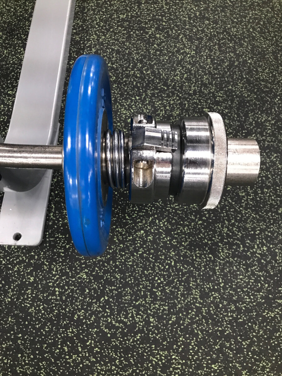 Что за неистовый зверь, фиксирующий ДВУМЯ ЗАМКАМИ гриф, узнать, к сожалению, не удалось