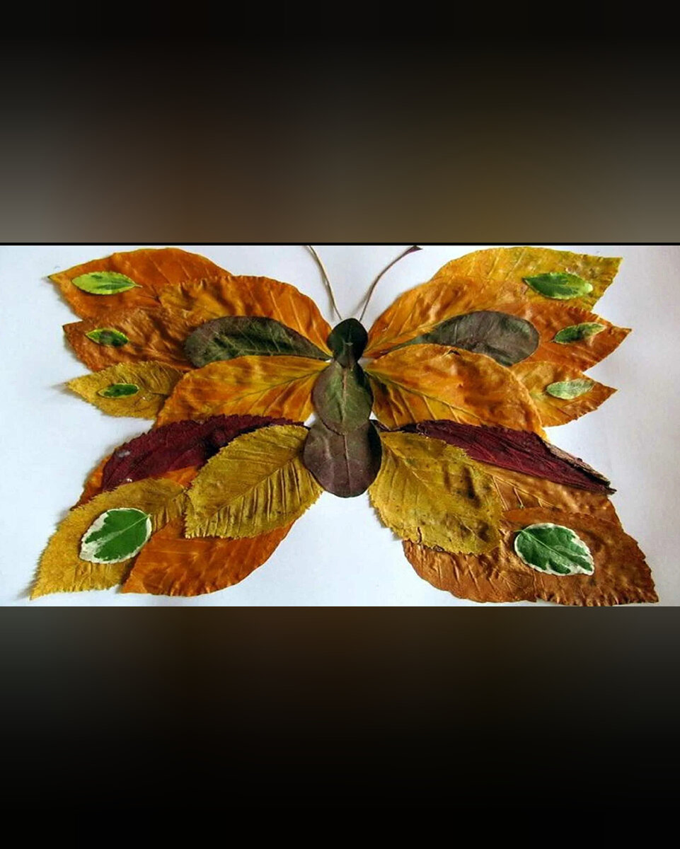 Бабочка из природного материала