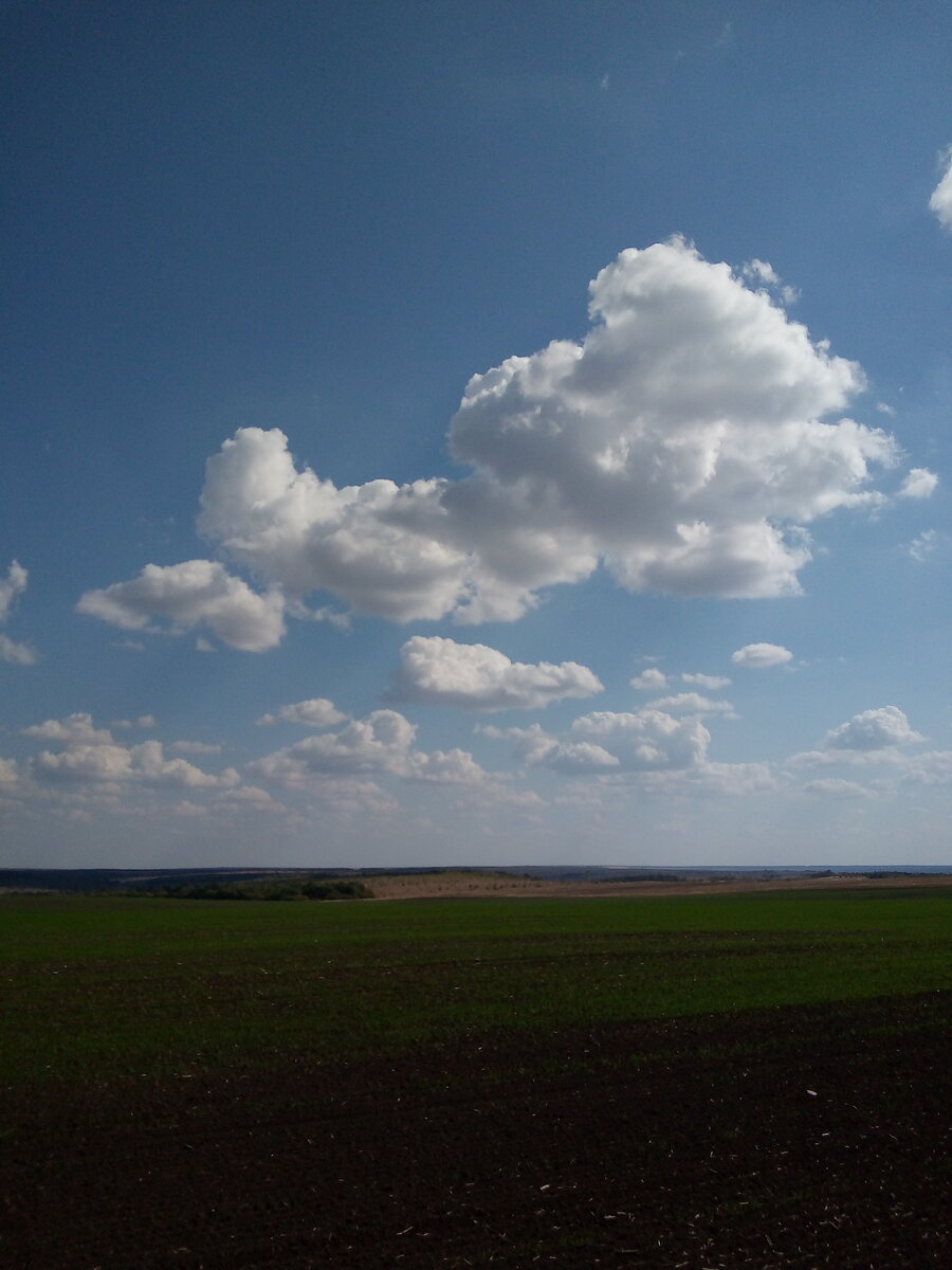 Фото автора. Дождь будет.