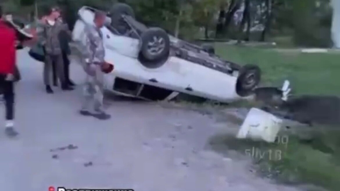     Жёсткое ДТП произошло под Уссурийском. Ранним утром 14-летняя девочка-подросток стала жертвой чужого алкоголизма.