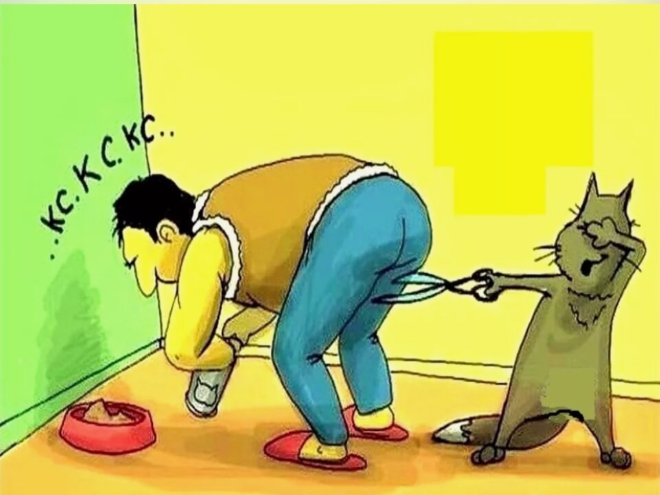 из свободного доступа