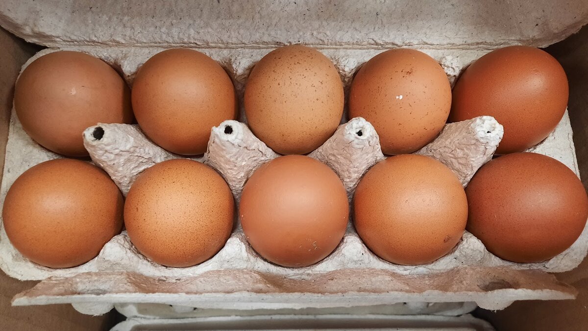 Всегда покупала в магазинах куриные яйца категории С0. Для тех, кто не в курсе, это свежие куриные яйца самого крупного размера. По крайней мере, именно так я думала до недавних пор.