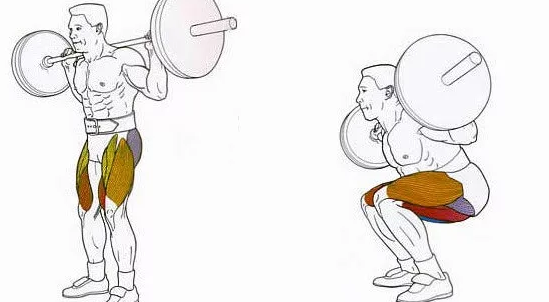 Классическое приседание с постановкой ног на ширине плеч.