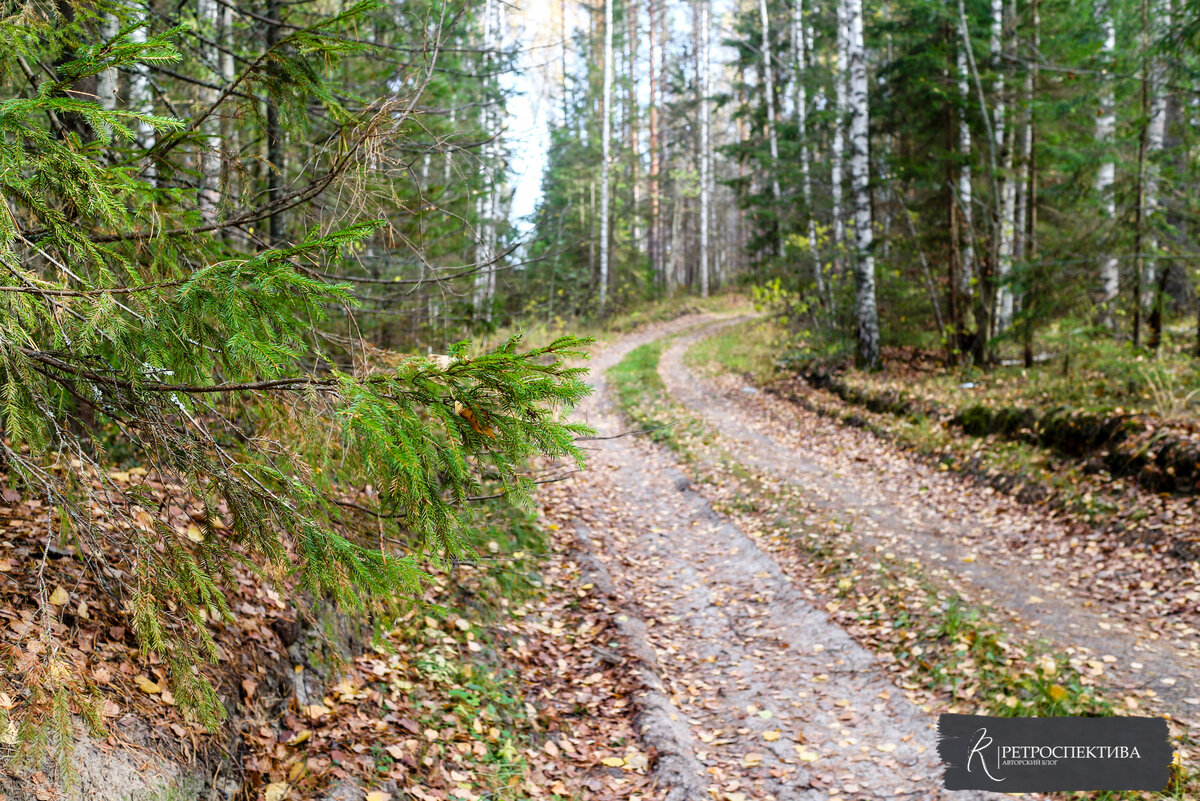  Источник - https://vk.com/retrospektive