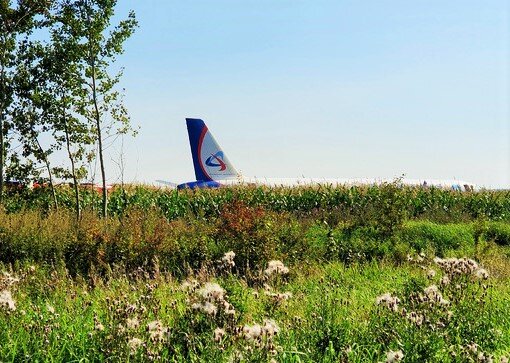 Фото взято с интернета