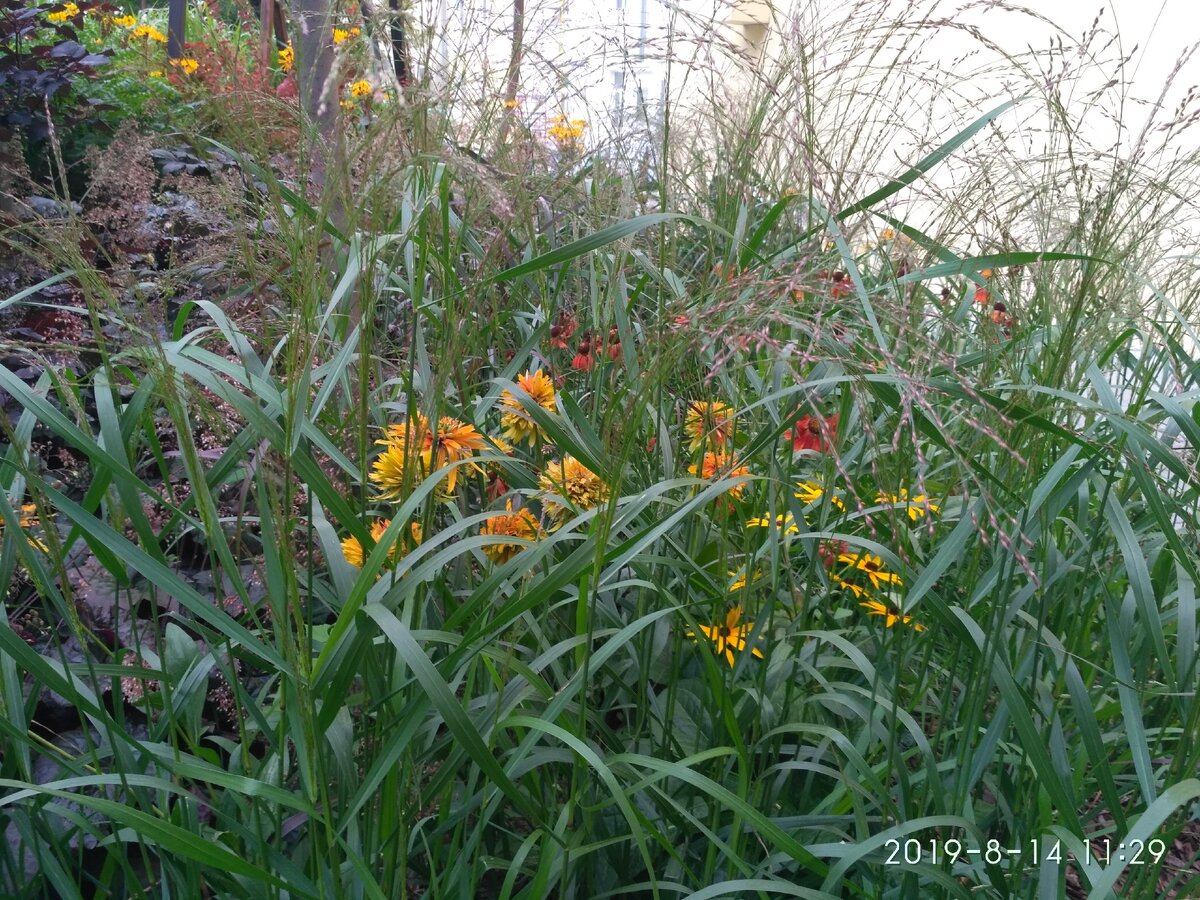 В сквере Майи Плисецкой