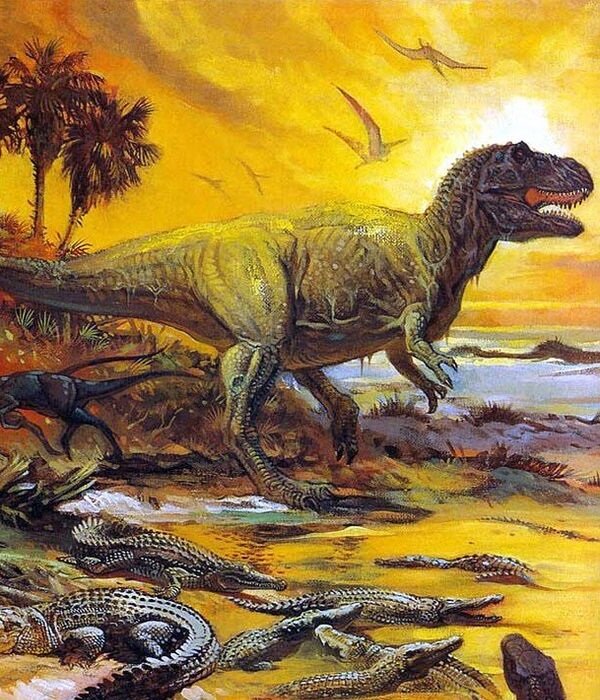 Источник: Яндекс.Картинки