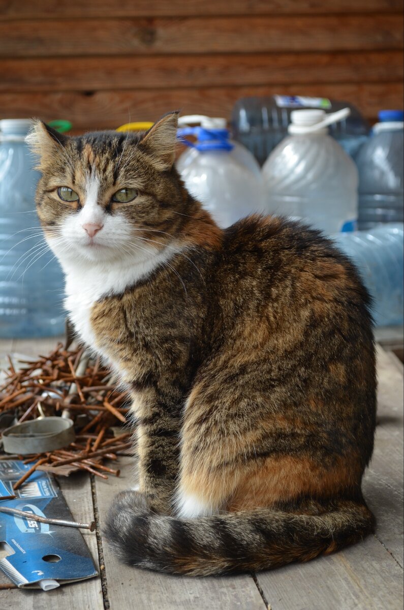 Маруся, 2015 год