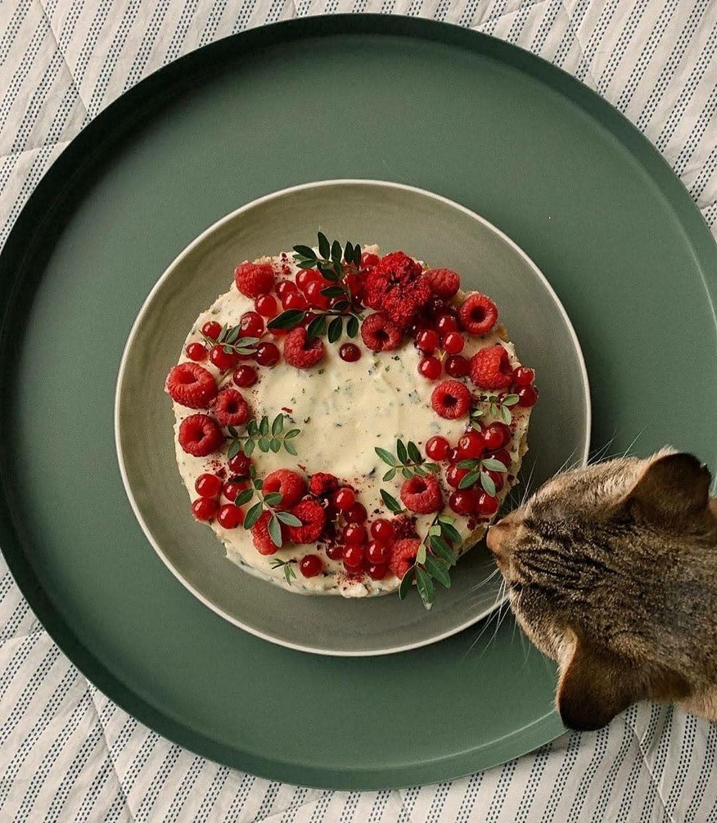 Отведает вкусняшку первым)