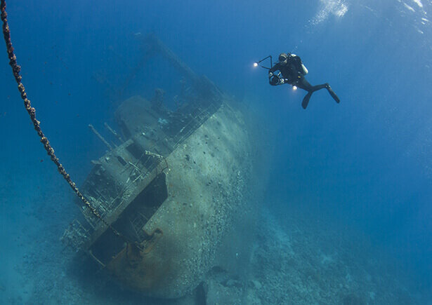 источник  yandex.ru