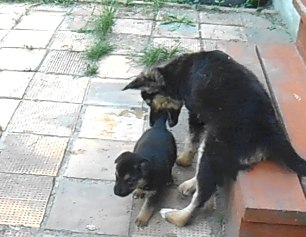 мы играем (фото из личного архива автора)