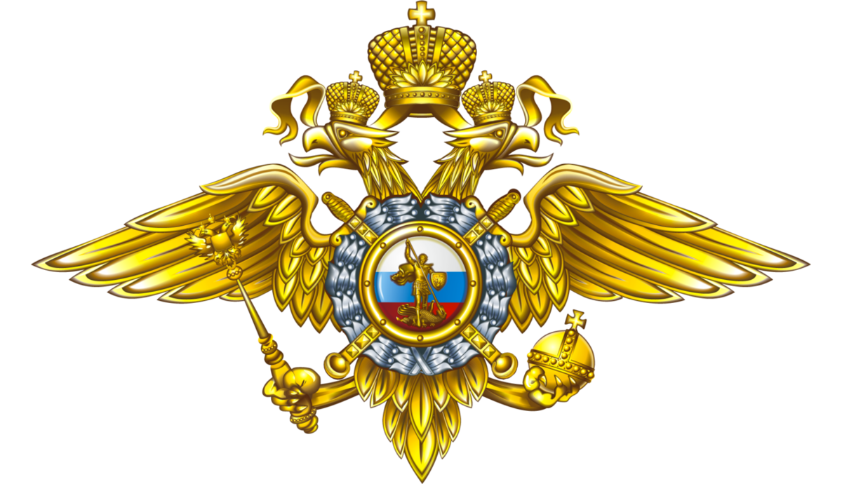 Расширенная коллегия МВД РФ 2020.