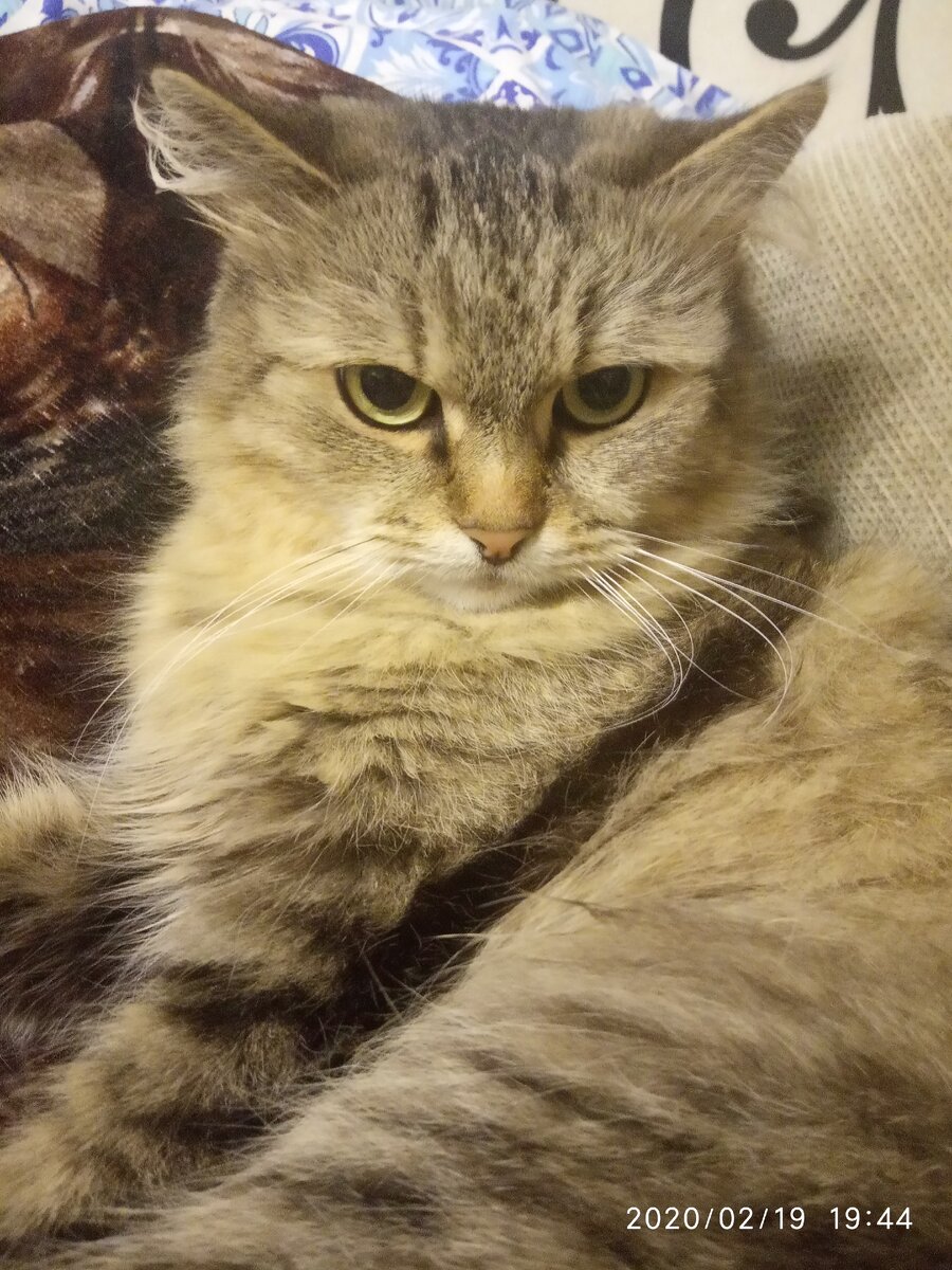 Не в настроение