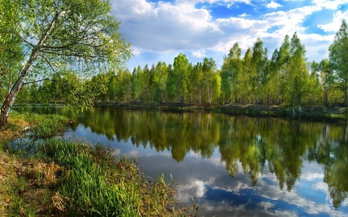Вот такая красивая река