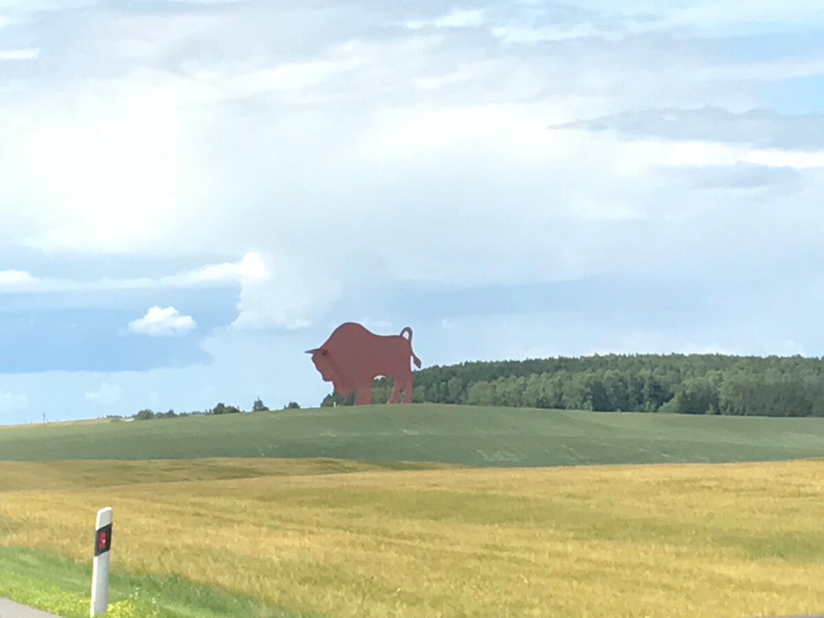 Где-то в Беларуси