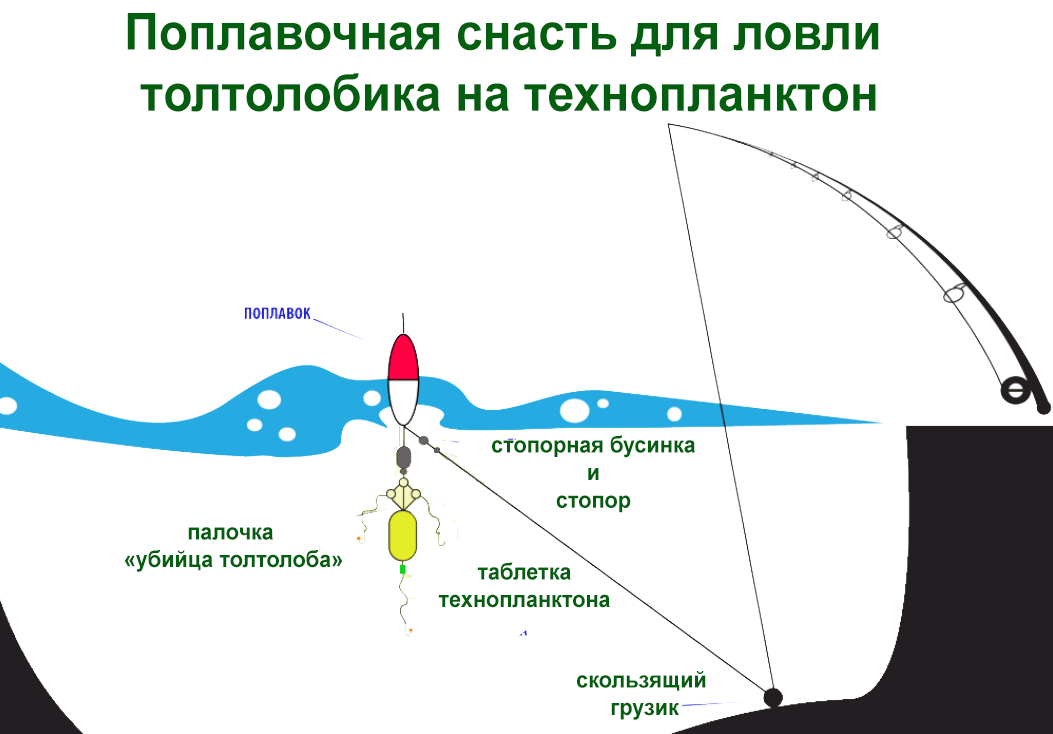 Ловля Толстолобика. Прикормка, насадки, снасти, и методы лова. ЧАСТЬ ВТОРАЯ