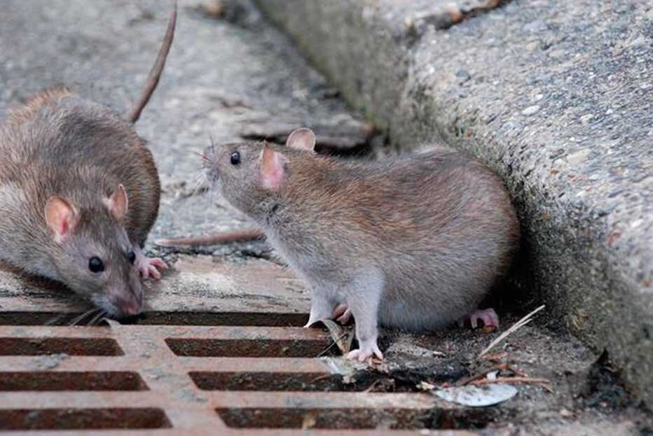 Фото с сайта likvidator24.ru