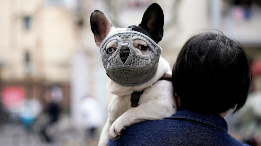 Фото: REUTERS/Aly Song