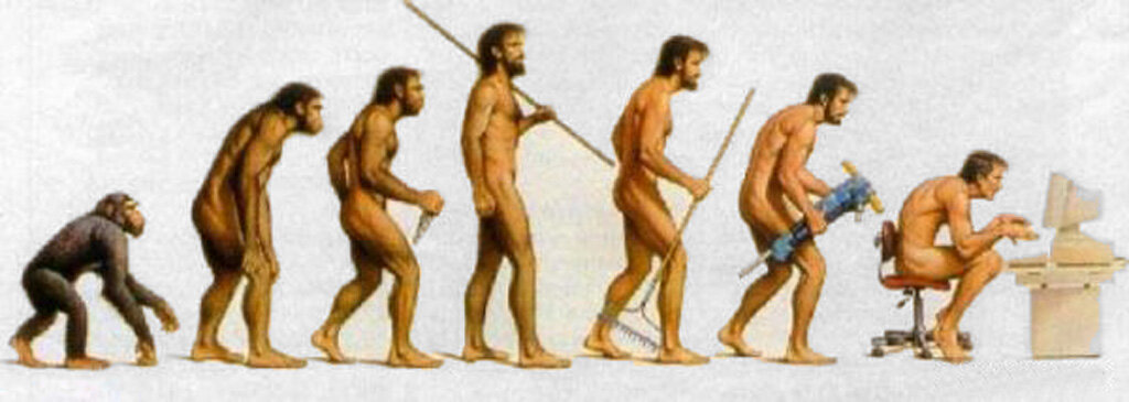 Переход от обезьяны к ...?