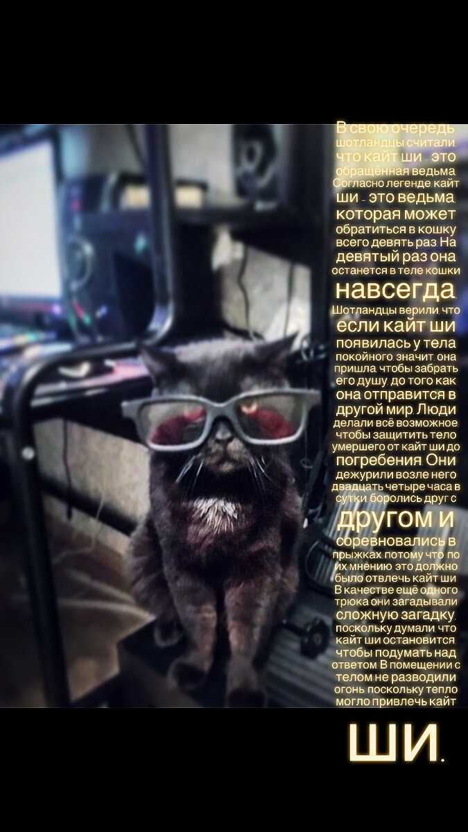 Моделью выступил мой кот -Бегемот, поставь лайк и я передам ему почесав ушко:3 