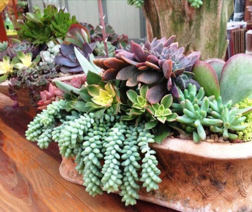 Интерьерная композиция