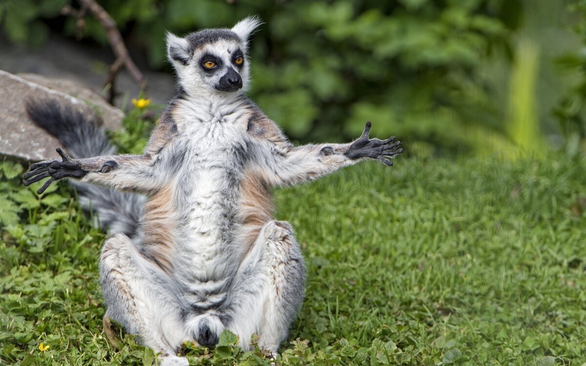 Выбирайте тему запуска правильно!