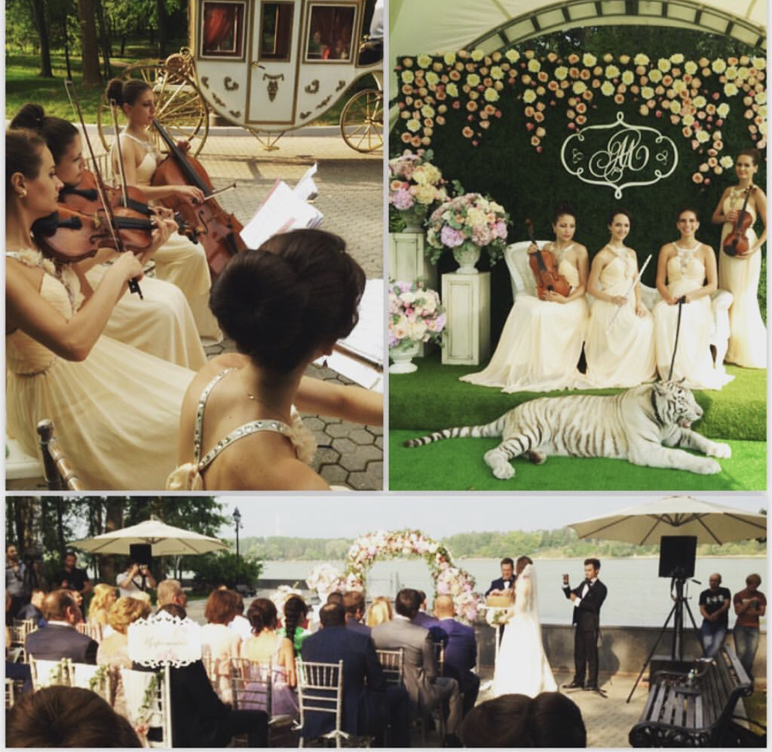 Квартет На свадьбе с живностью