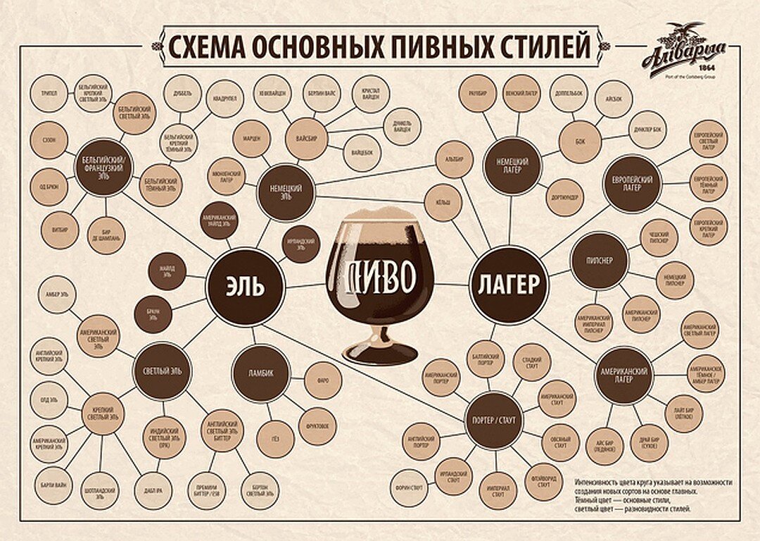 Разливное пиво схема