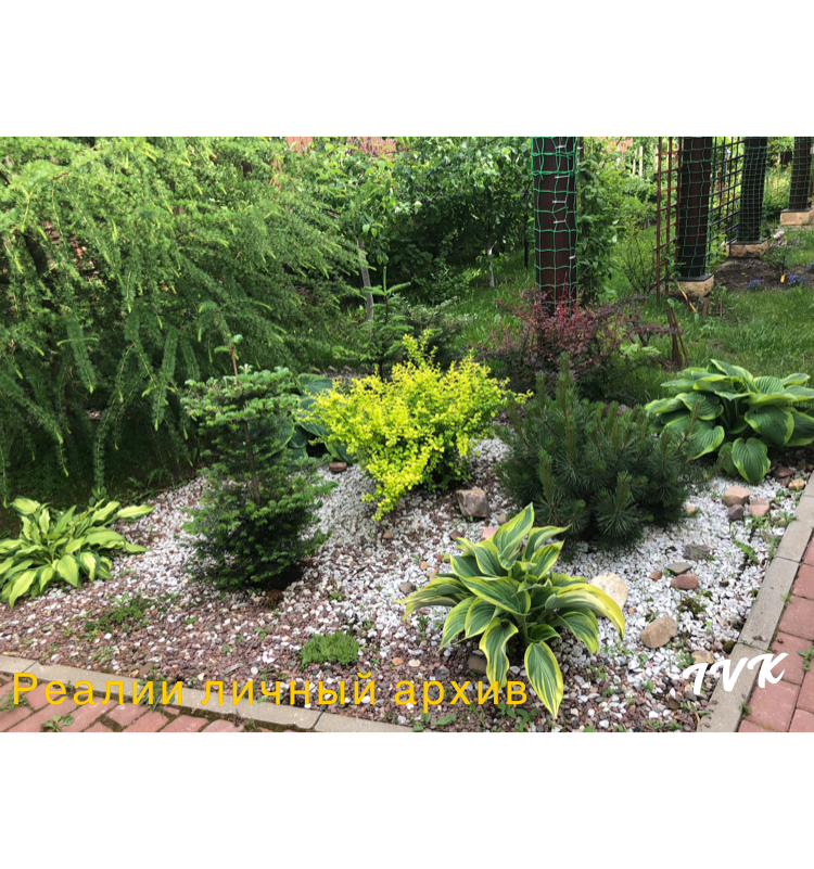 Фото из личного архива 