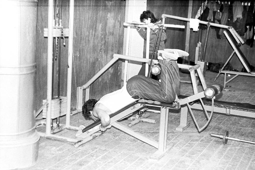 Фото с Яндекс картинок