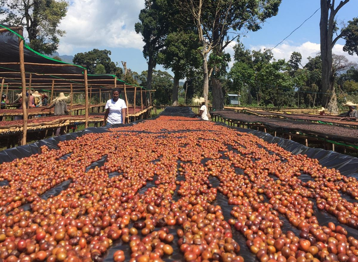 Экспериментальной обработкой считаются методы, нетипичные для данного региона. © Тимур Дудкин, R & D Директор в компании Mare Terra