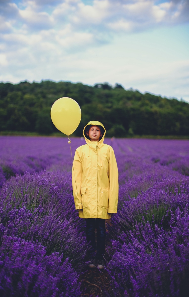 Photo by Zoltan Tasi on Unsplash 