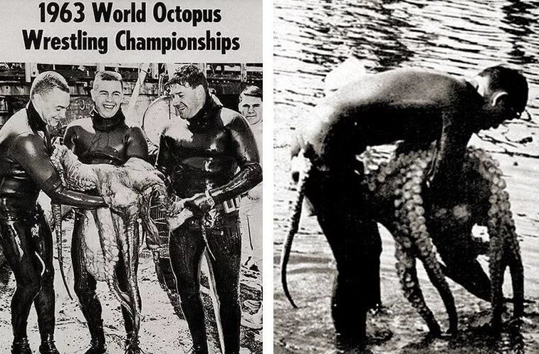 Борьба с осьминогом