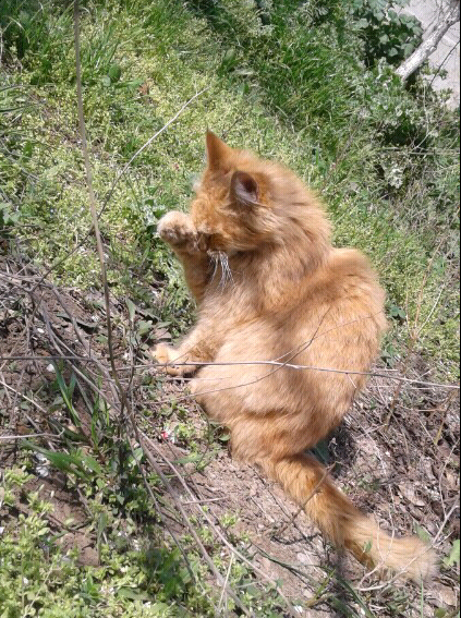   Прелесть, не так ли?