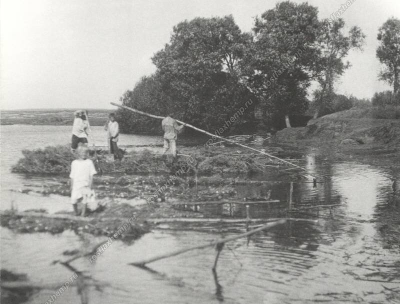 Замачивание конопли в реке Вороне (Мордовия, с. Карсаевка). 1928 г