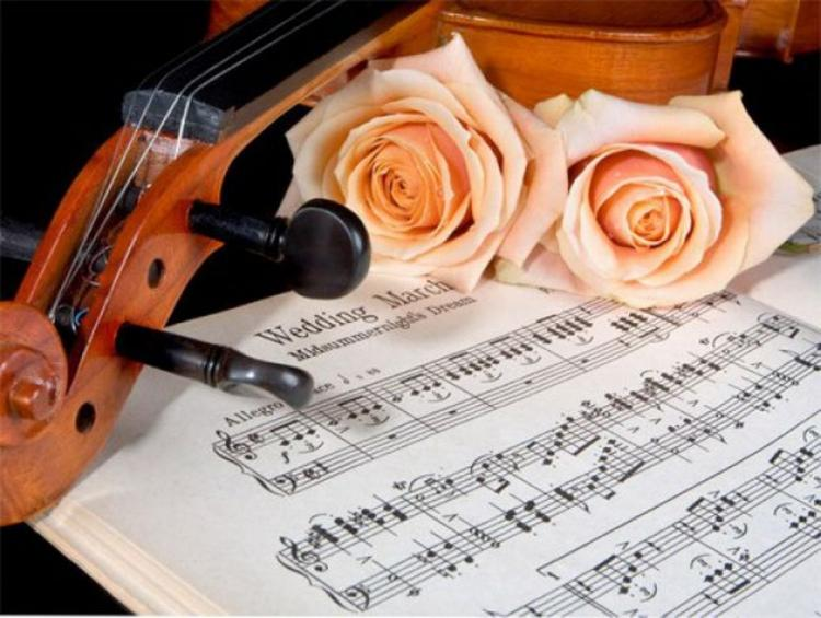 Фотография из открытых источников