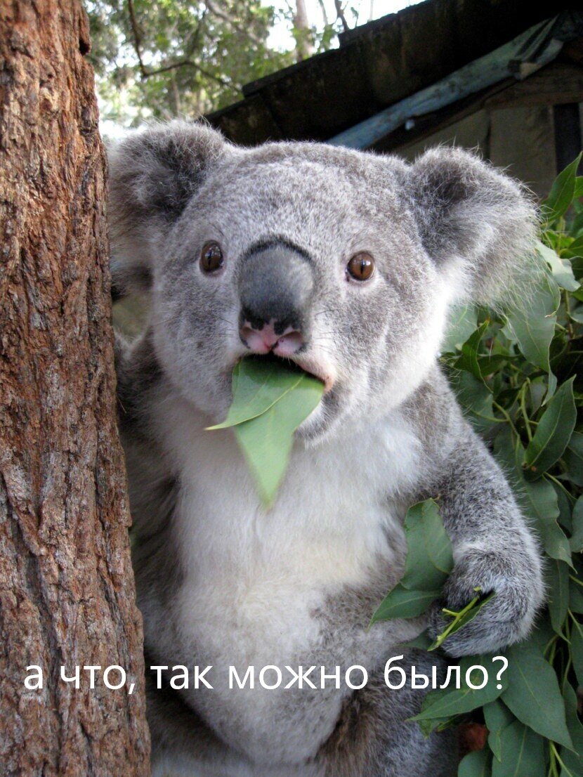 Ступор